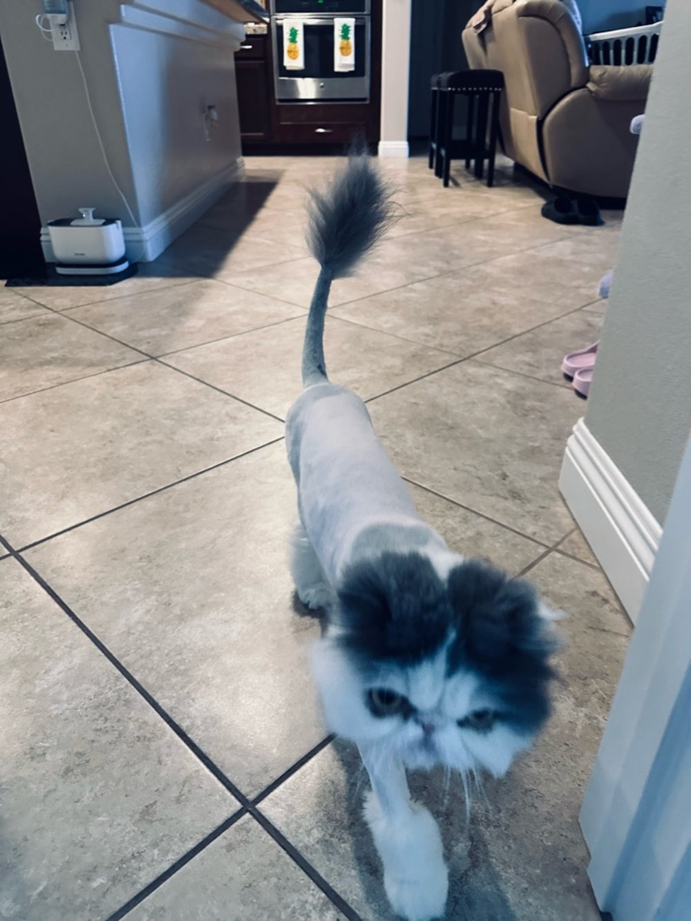 Plush Cat Tail Toy - White and Gray Interactive Teaser